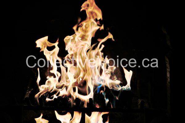 Fireplace Flames Real Wood - DSC01434 - rev 1