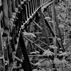 Black and White – Galloping Goose Trail near Sooke Pot Holes – DSC 02080(2)