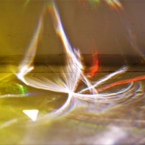 Unusual – DSC 02653-rev1