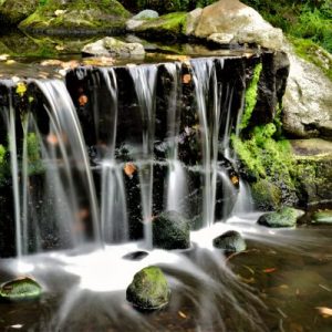 Beacon Hill Park – Victoria BC – DSC 05305-rev1