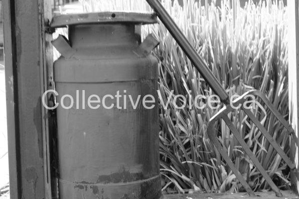 Ladysmith BC - main street - DSC 08297(2)