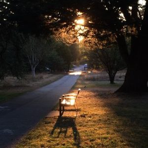 Spirit In The Sky – IMG 2469