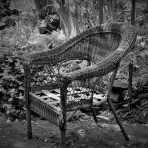 A Seat For One More – DSC 06569(2)