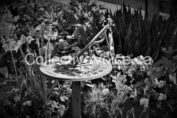 An Inviting Spot For All - DSC 06572(2)