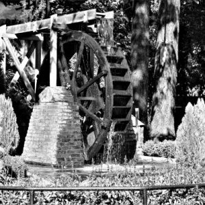 DSC 7624(3) – CHEMAINUS, BC