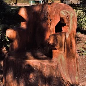 Beacon Hill Park – An inviting chair for you – IMG E3173 (2)