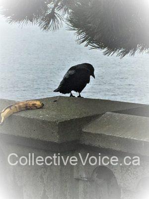 Stop Following Me - IMG 3186(2)