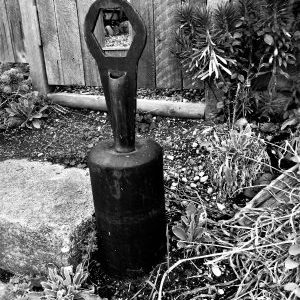 Unusual – E4509(2)